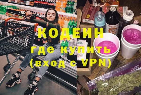 прущие грибы Надым