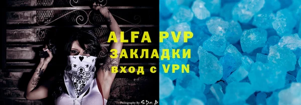 прущие грибы Надым