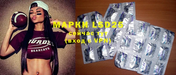 прущие грибы Надым