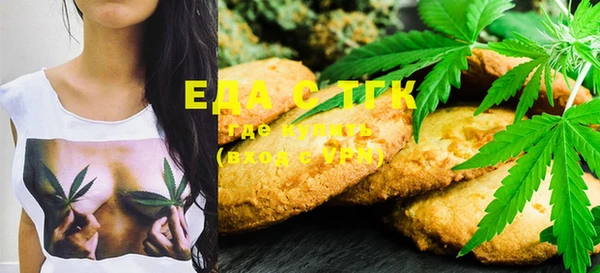 прущие грибы Надым