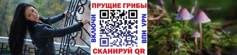 Купить  Азов  Галлюциногенные грибы мицелий 