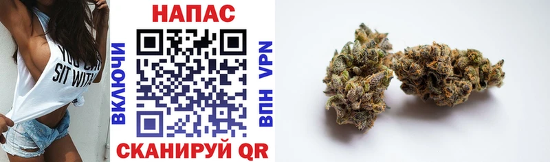 Купить где  Азов  Бошки Шишки семена 